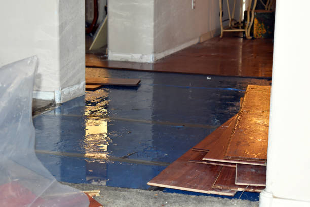 Professional Emergency Water Damage Restoration technician working in Gouldsboro, ME